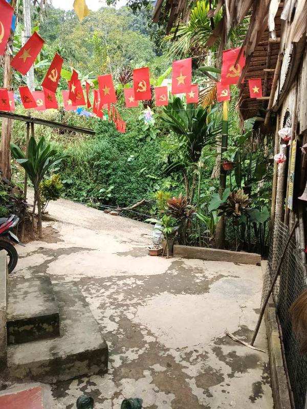 Homestay wiu field - image 6