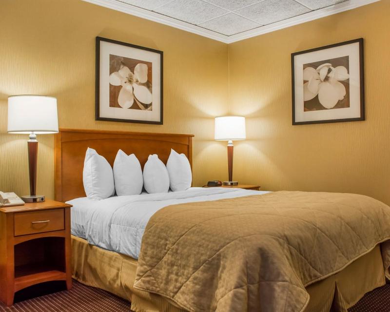 King Room with City View - Non-Smoking image 2