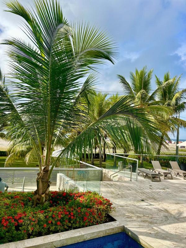 Mar y piscina gigante en el caribe - image 5
