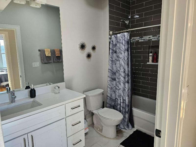 Updated 3 Bedroom Chicago Downtown Pilsen - image 14