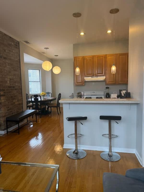 Two Bedroom West Loop - image 4