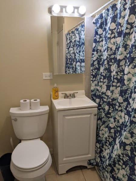 Downtown Vintage Chicago APT - image 12