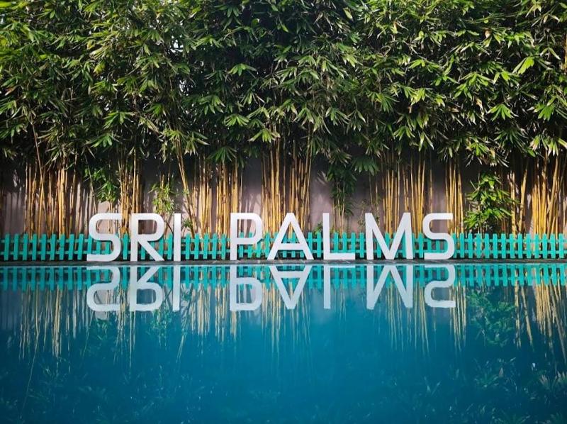 Sri Palms - image 9