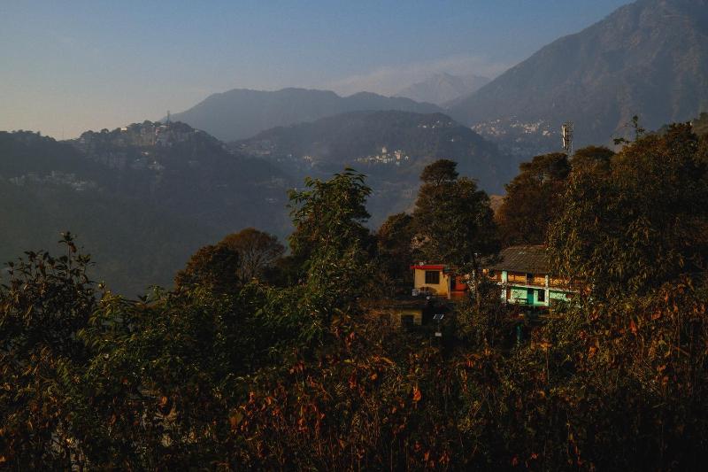 Shepherds Of Dharamshala - image 17