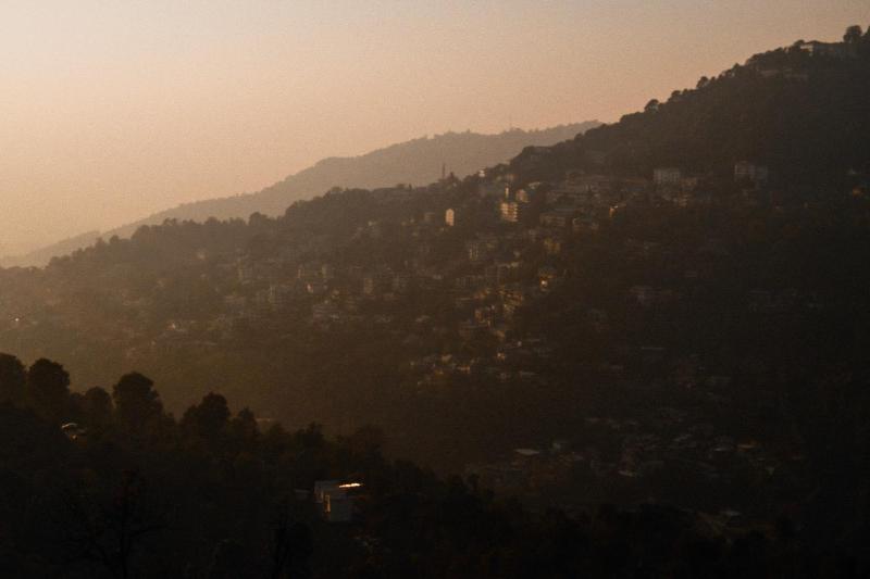Shepherds Of Dharamshala - image 24