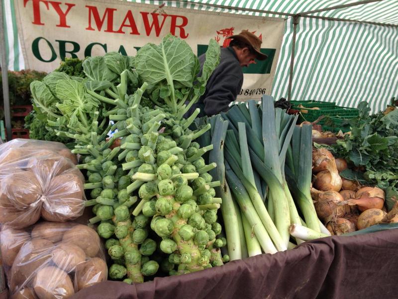 Two-Bedroom Apartment image 3