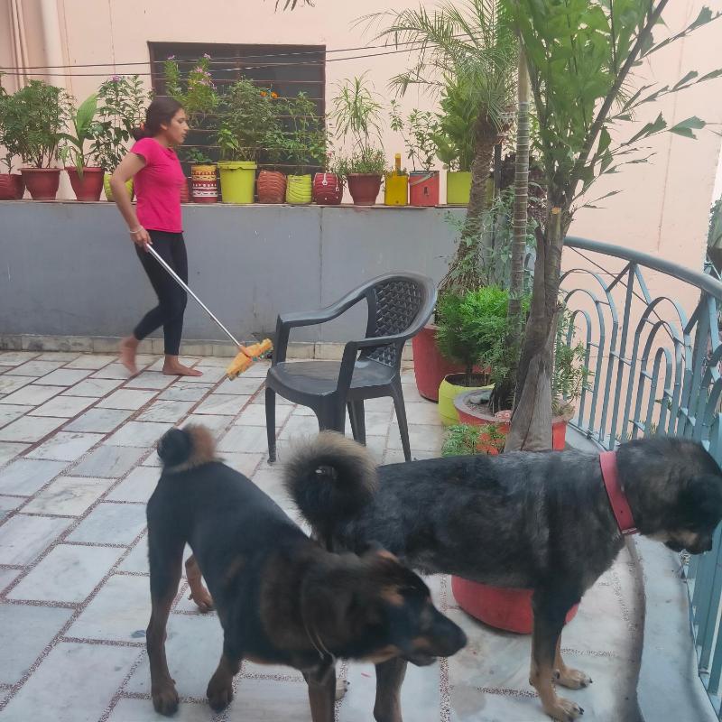 Gungun Homestay - image 12
