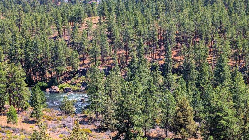 River Ridge 423AB - image 35