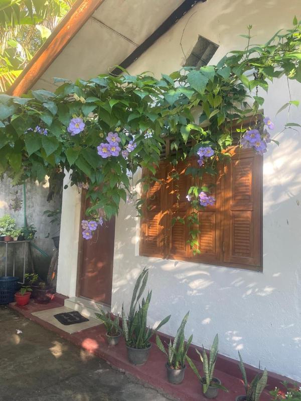 Ananda Home Stay and Restaurant - image 21