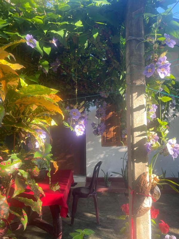 Ananda Home Stay and Restaurant - image 18