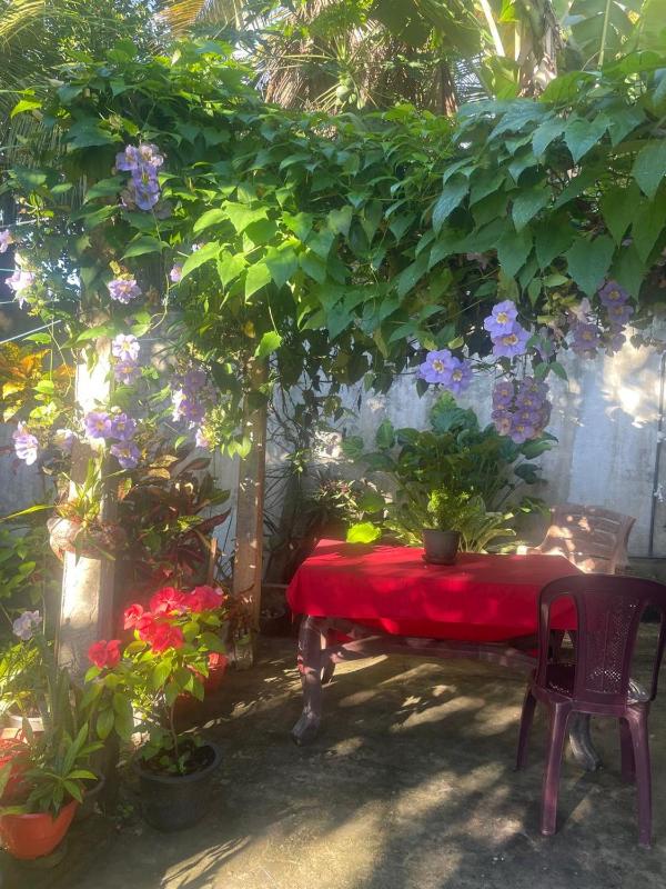 Ananda Home Stay and Restaurant - image 41