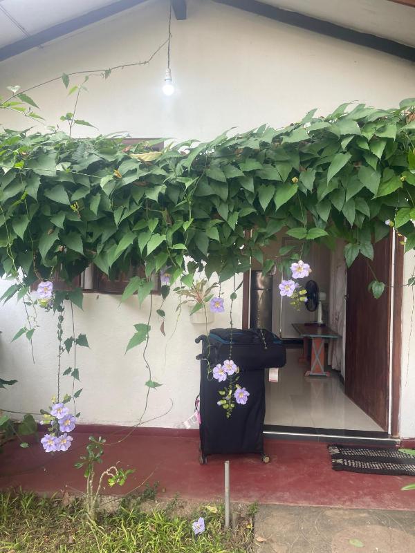 Ananda Home Stay and Restaurant - image 50