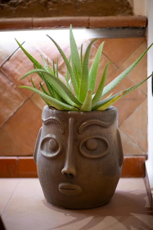 Casa Sofi Oaxaca - image 12