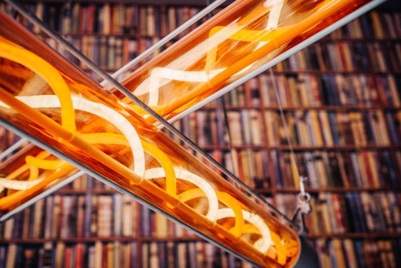 Loft Suite (4 adults) with two bedrooms image 4