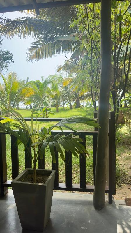Calma Cafe - Surf Stay and Yoga - image 16