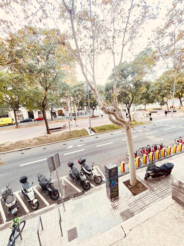 Apartamentos Tarradellas Sants Estació - image 15