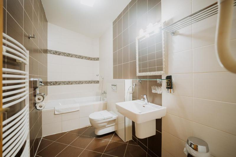 Hotel Rokoko Košice - free parking - image 31