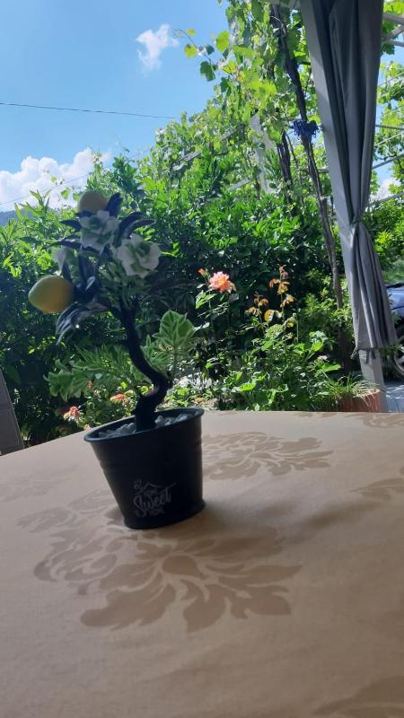 Guest House Emi - image 11