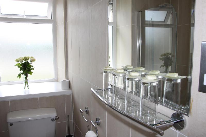 Family Room with Private Bathroom image 3