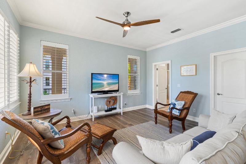 Sand Dollar - image 6