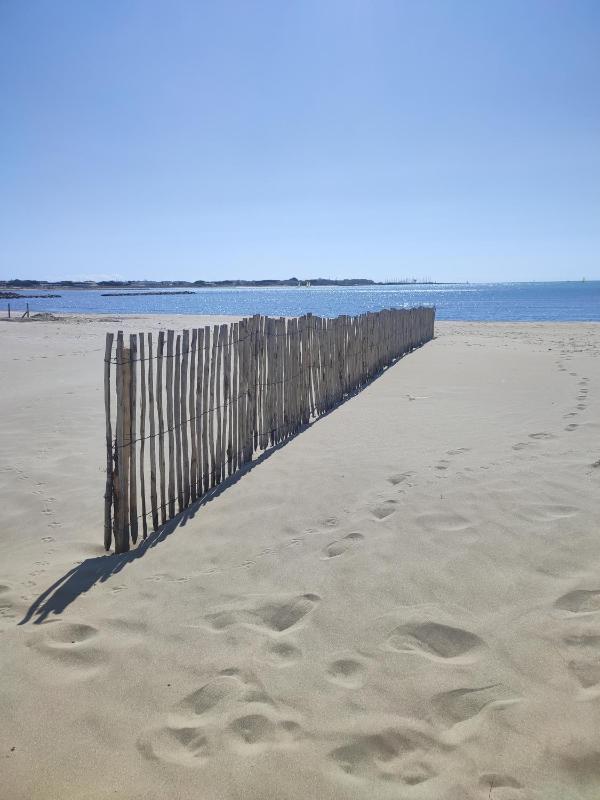 Les Dunes - image 8