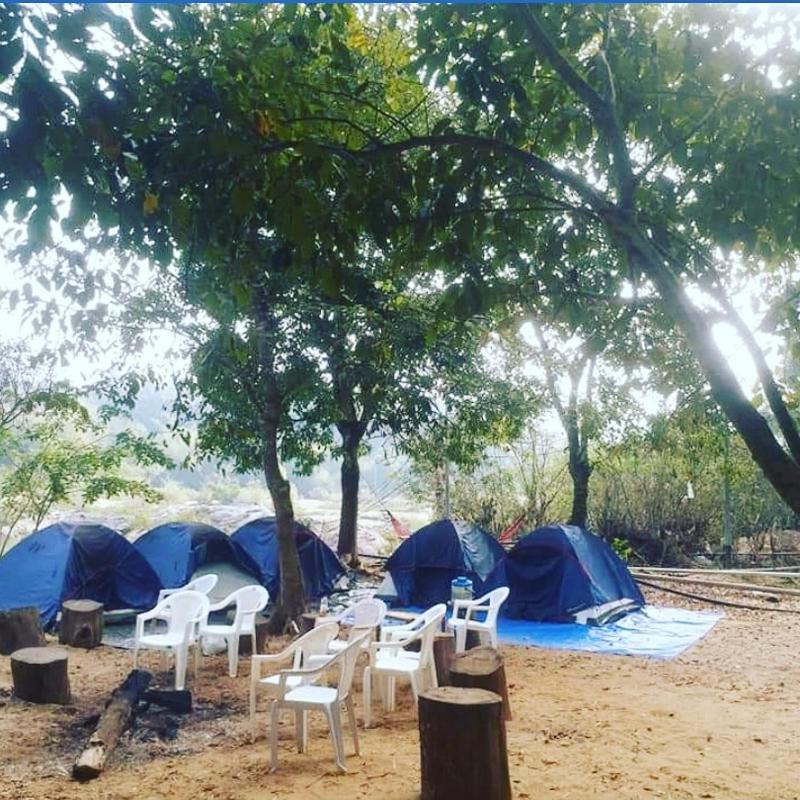 Bhadra nature camp- best homestay in chickmanglore - image 14