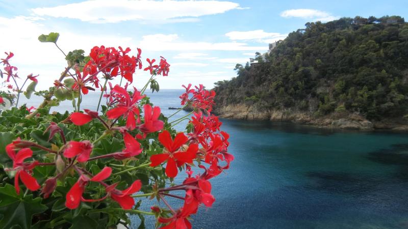 Hotel La Calanque - image 14