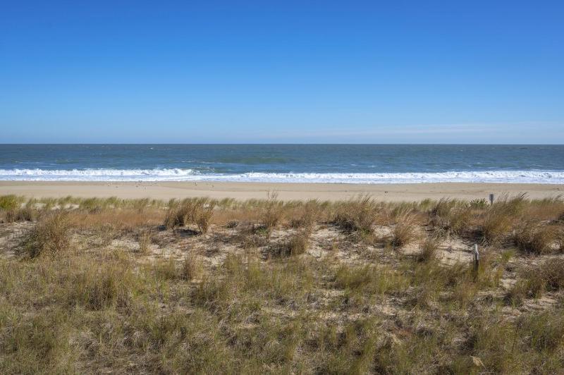 Barefoot Country 407 - Riptide - image 2