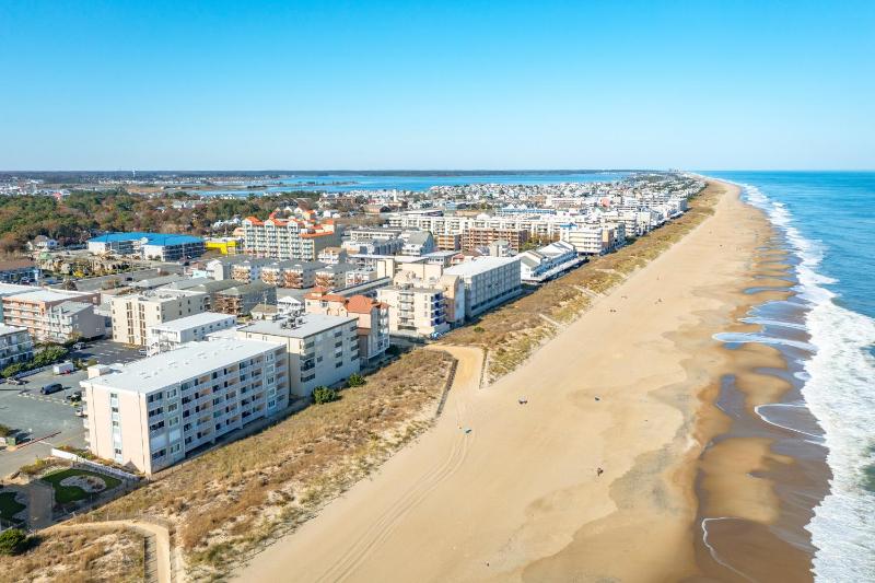 Barefoot Country 404 - Serenity Now - image 9