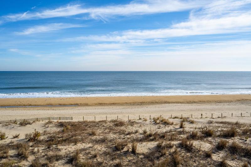Barefoot Country 404 - Serenity Now - image 6
