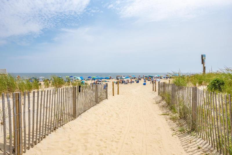 Barefoot Country 404 - Serenity Now - image 5