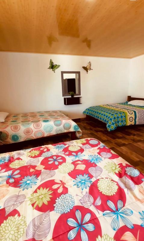 Hotel y Club Pueblito Quindiano Montenegro - image 6