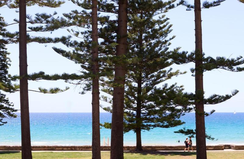Manly Vista - image 10