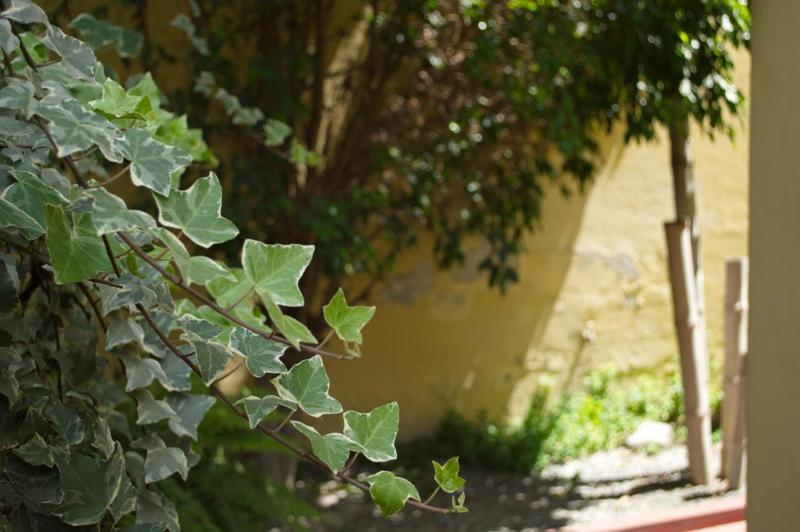 Rutas Hotel - image 32