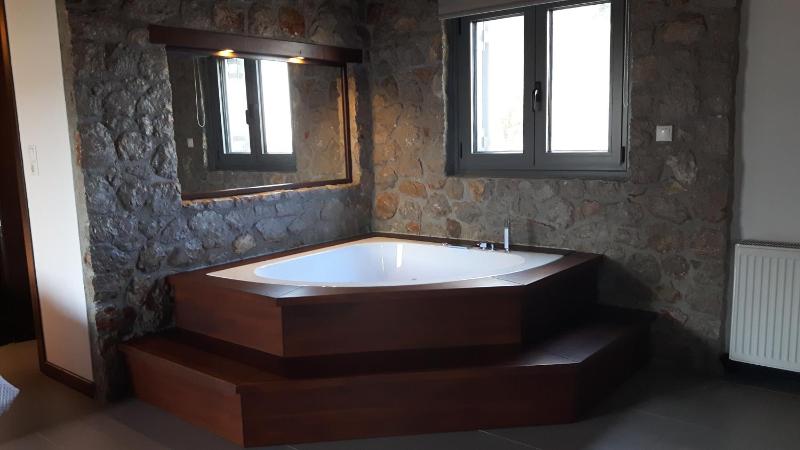Executive Suite with Fireplace and Spa Bath image 4