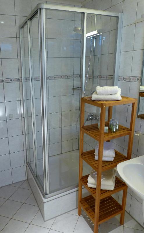 One-Bedroom Apartment image 3