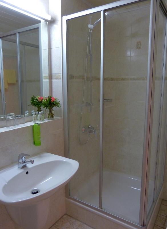 Standard Single Room image 3