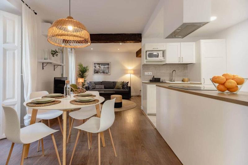 Lujosa vivienda en Valencia - image 1