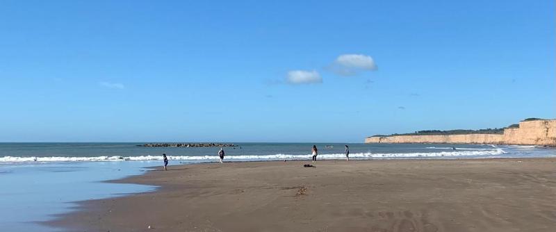 Sur Mar del Plata vista al mar - image 25