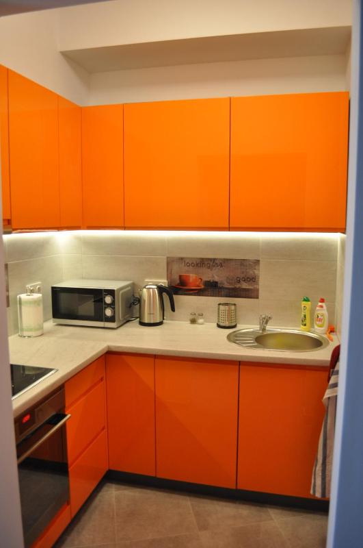 One-Bedroom Apartment image 4