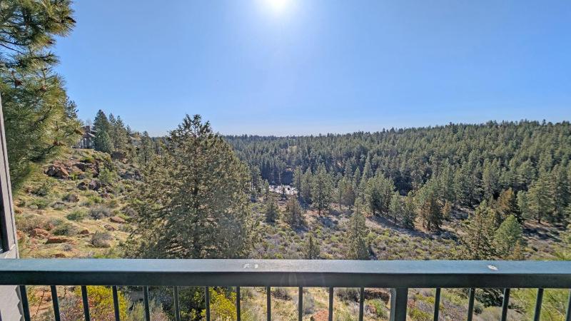 Mt Bachelor Village 324 - image 29