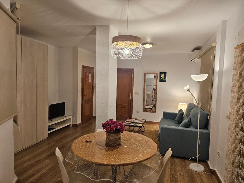 Apartamentos Plazaviviendas turisticas - image 18