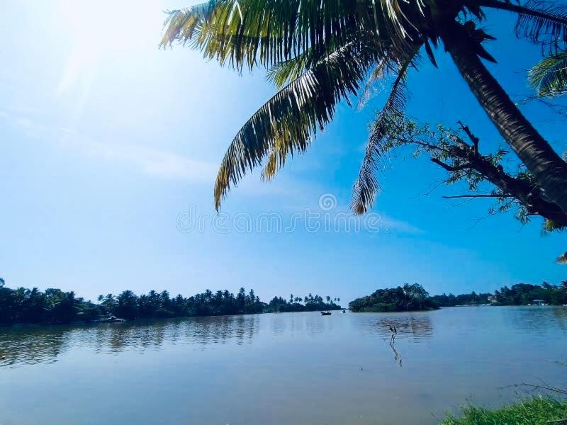 Harshi Guest House - image 9