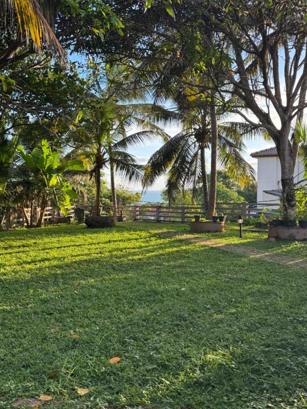 Browns Hill Matara - image 7