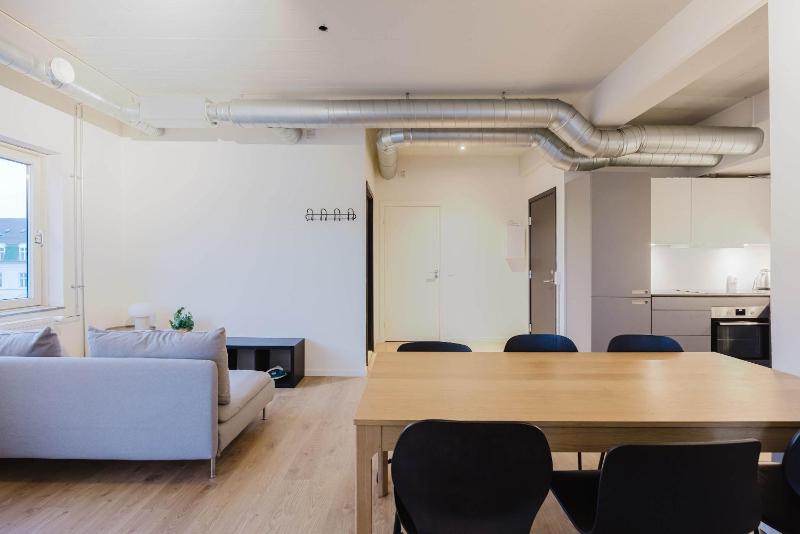 Norrebro big apt - image 1