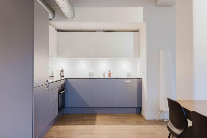 Norrebro big apt - image 2