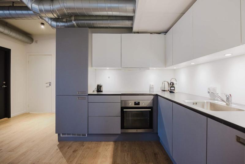 Norrebro big apt - image 4