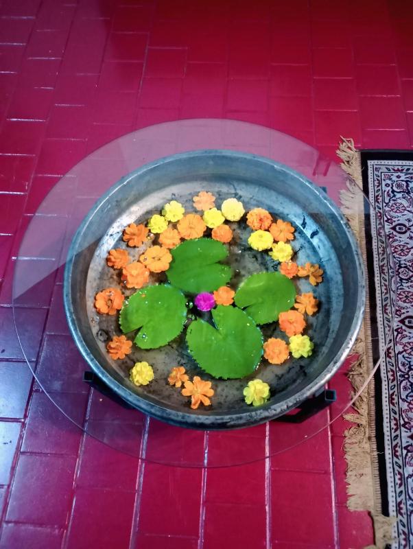 Anna's Heritage bungalow - image 7
