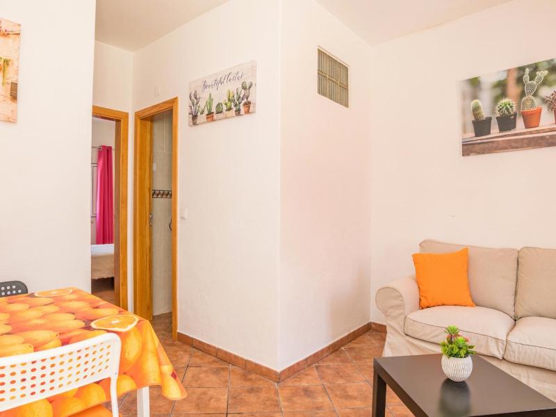Akivillas Lagos Zircon - image 5