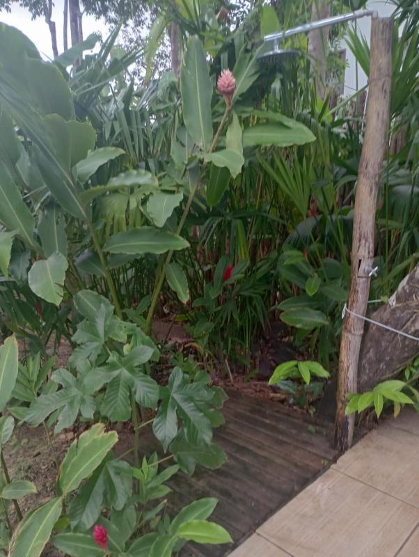 Casa Tupiguaá - Icatu condomínio - image 36